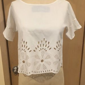 Cropped Laser Cut Blouse